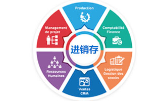 「进销存」进销存的发展史是怎样的？