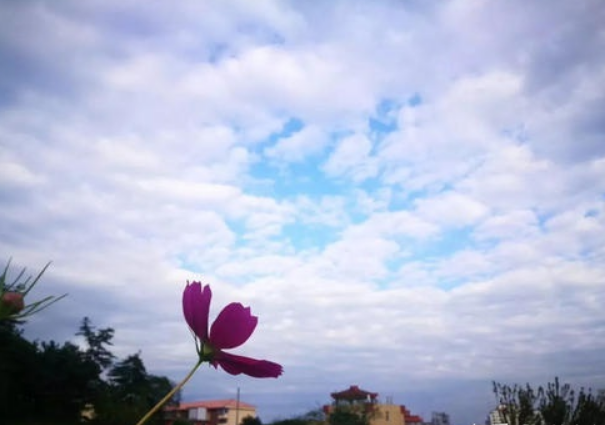 「进销存」蔬菜进销存软件有哪些优点？